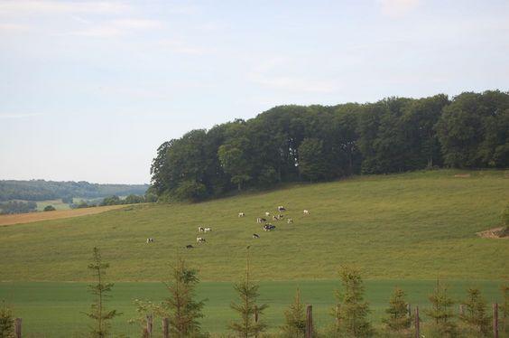 DSC_0148 [50%] [50%].JPG